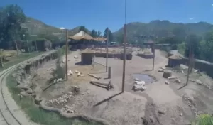 Hogle Zoo In Salt Lake City, Utah Live Webcam New