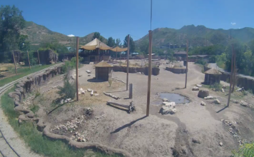 Hogle Zoo In Salt Lake City, Utah Live Webcam