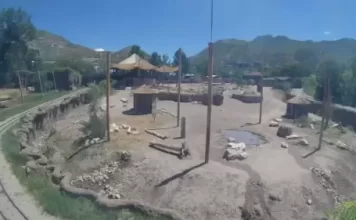 Hogle Zoo In Salt Lake City, Utah Live Webcam New