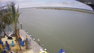 Chincoteague Island Live Webcam Virginia, Usa | Hd Video