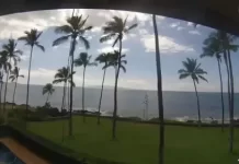 Live Hale Ili Ili Condo Beachfront Webcam New Maui, Hawaii