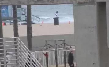 Venice Beach Live Webcam New In California, Usa