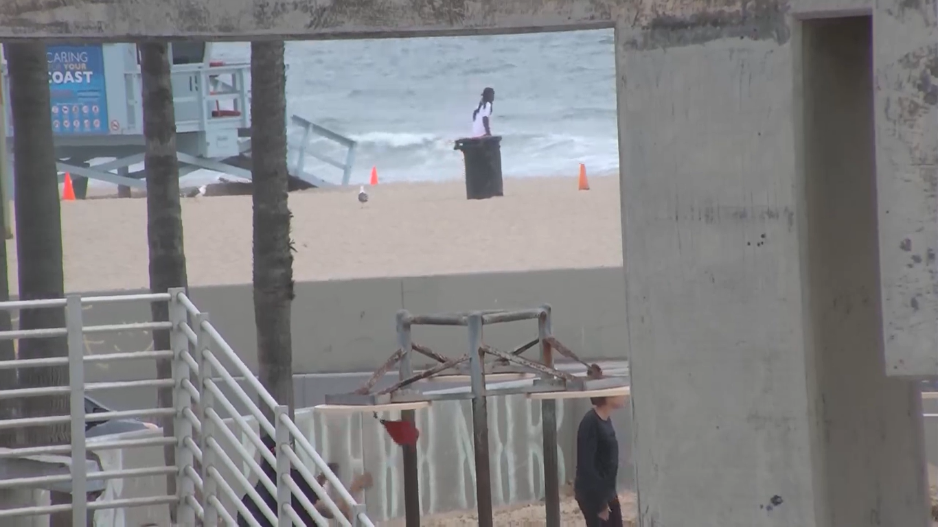 Venice Beach Live Webcam – California, USA