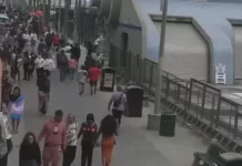 Venice Beach Webcam Boardwalk Area Live New California, Usa