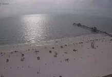 Clearwater Beach Live Webcam New In Florida, Usa