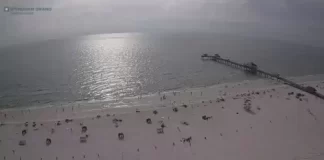 Clearwater Beach Live Webcam New In Florida, Usa