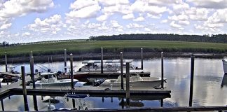 Hogan's Marina Live Webcam New In Savannah, Georgia