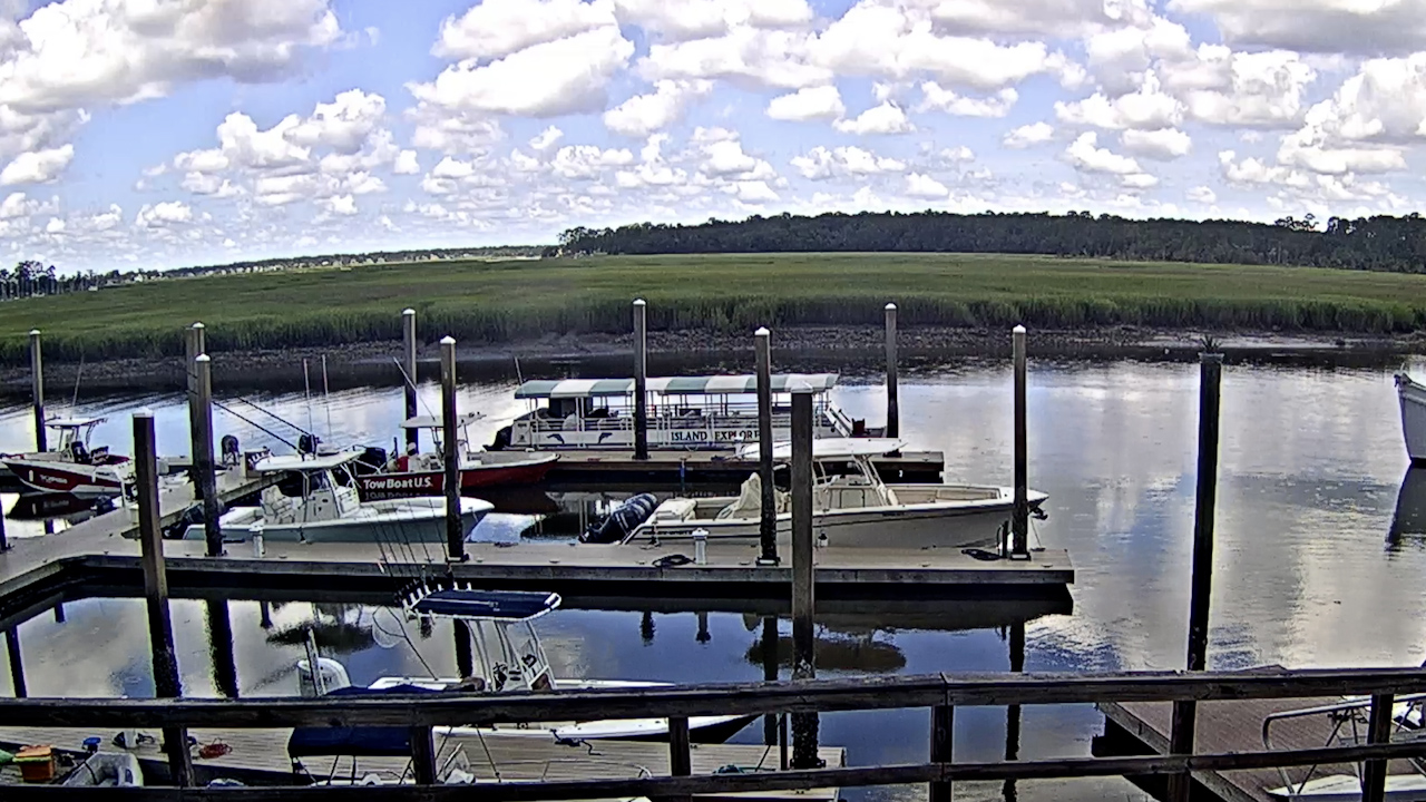 Hogan’s Marina Live Webcam – Savannah, Georgia