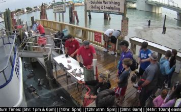 Live Hubbard's Marina Dock Webcam New Madeira Beach, Florida