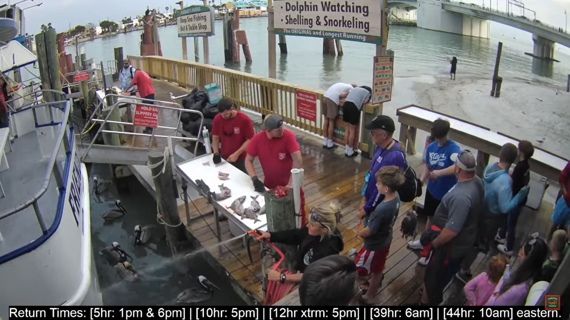 Live Hubbard’s Marina Dock Webcam – Madeira Beach, Florida