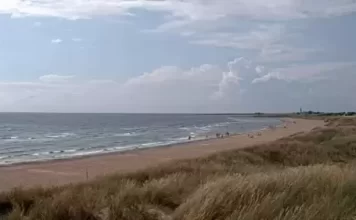 Olofsbo Beach Live Beach Webcam New Falkenberg Sweden