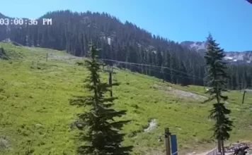 Alpental Base Live Webcam New At The Summit At Snoqualmie