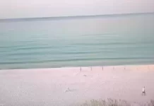 Henderson Beach Live Beach Webcam New Destin, Florida