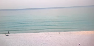 Henderson Park Inn Webcam - Destin, Florida - Live Video