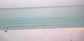 Henderson Beach Live Beach Webcam New Destin, Florida