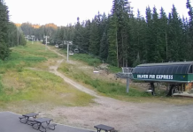 Silver Fir Lodge Live Webcam - The Summit At Snoqualmie