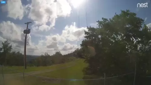 Buffalo Mountain Live Webcam – Tennessee, USA