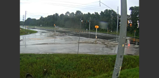 Highway 21 Live Webcam New In Savannah, Georgia