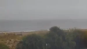 Tybee Island Surf Live Webcam New In Georgia, Usa