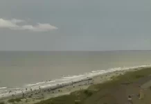 Marriott Hilton Head Island Live Webcam