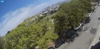 Mission Delores Park Live Webcam New In San Francisco, California