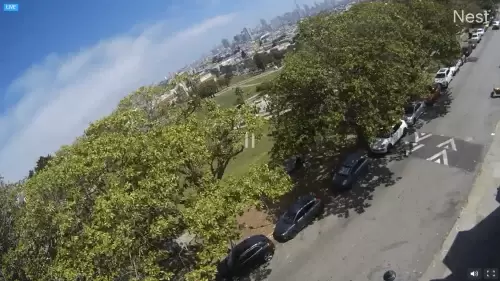 Mission Dolores Park Live Webcam San Francisco, CA