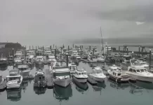 Cliffside Marina & Yacht Club Live Webcam New Whittier, Alaska