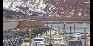 Cliffside Marina & Yacht Club Live Webcam Whittier, Alaska