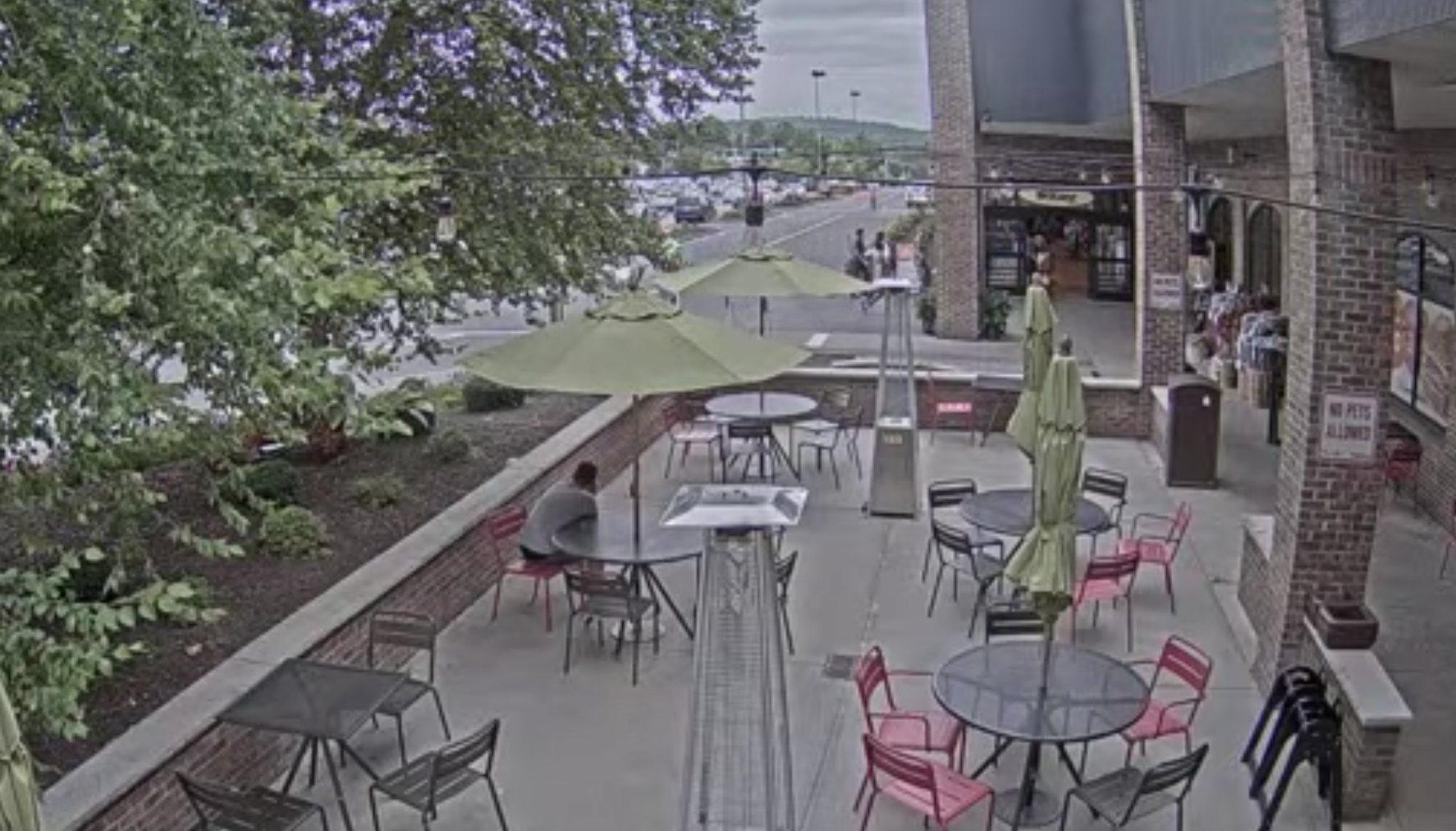 Wegmans Dewitt Grocery Live Webcam – Fayetteville, NY