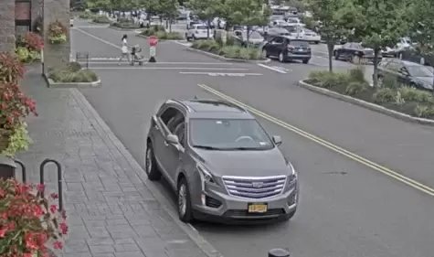 Amherst, New York Wegmans Live Webcam Alberta Dr.