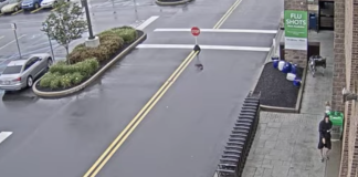 Allentown, Pennsylvania Live Camera Downtown