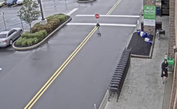 Allentown, Pennsylvania Live Camera Downtown