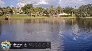 Spring Bayou Live Webcam New In Tarpon Springs, Florida