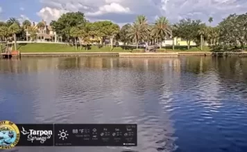 Spring Bayou Live Webcam New In Tarpon Springs, Florida