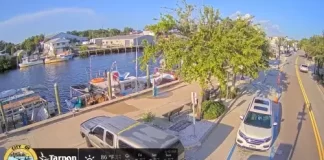 Sponge Docks East Live Webcam New In Tarpon Springs, Florida