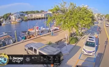 Sponge Docks East Live Webcam New In Tarpon Springs, Florida