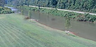 Boone, North Carolina New Live Webcam Usa