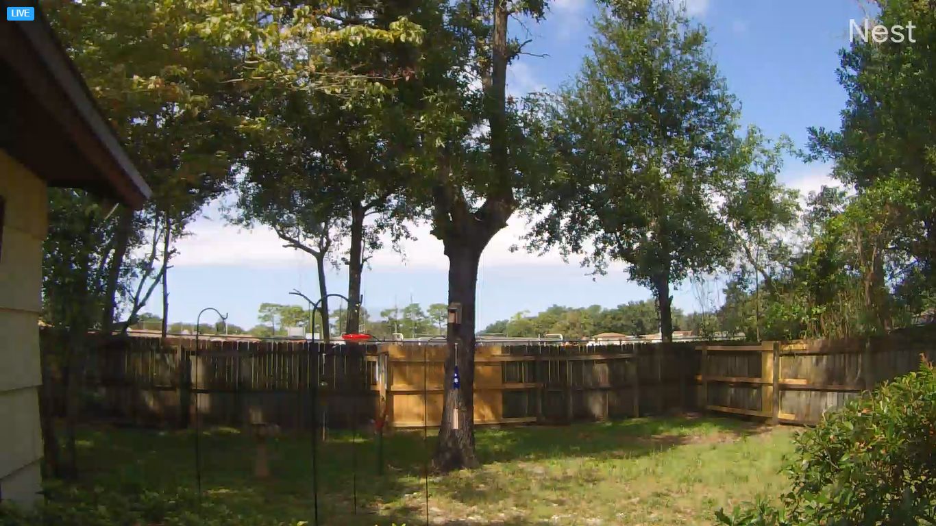 Orange Park Live Webcam – Jacksonville, Florida