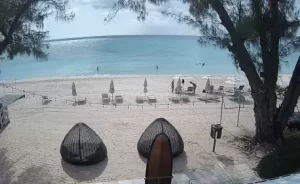 Live Seven Mile Beach Webcam Grand Cayman Islands
