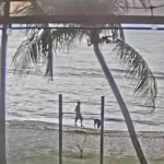 St. Croix Webcam | Cane Bay | Us Virgin Islands New