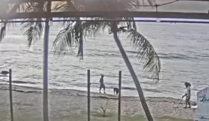 St. Croix Webcam | Cane Bay | Us Virgin Islands New