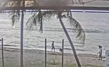 St. Croix Webcam | Cane Bay | Us Virgin Islands New