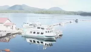 Denny Island Live Webcam New In British Columbia