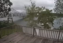 Jasper Al Webcam | Lewis Smith Lake Live