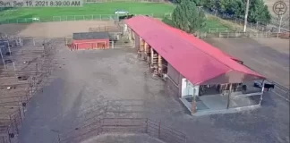Dunrovin Ranch Live Webcam New In Lolo, Montana