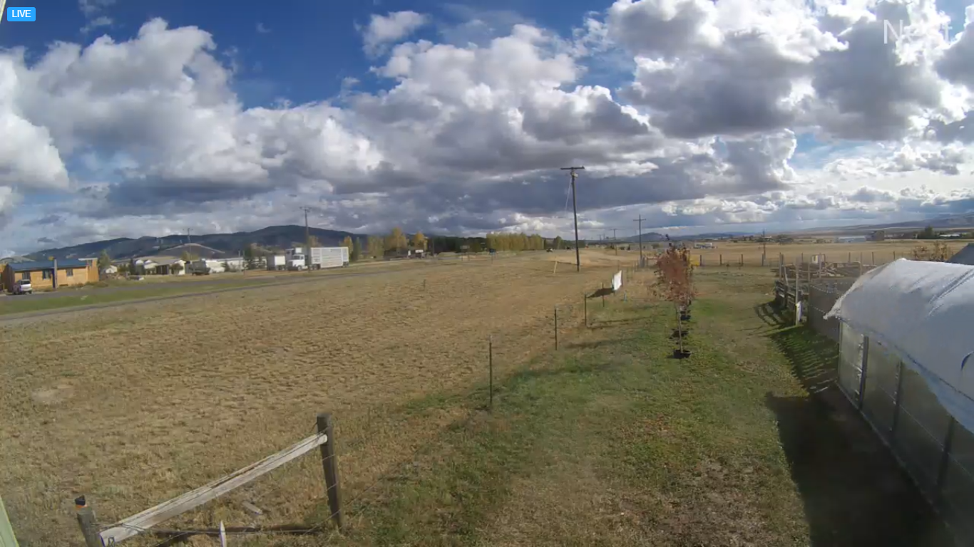 Garden Shop Live Webcam – White Sulphur Springs, MT