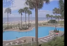 Grand Panama Beach Resort Live Webcam New In Florida