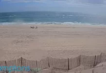 Tiana Beach Live Webcam In Hampton Bays, New York