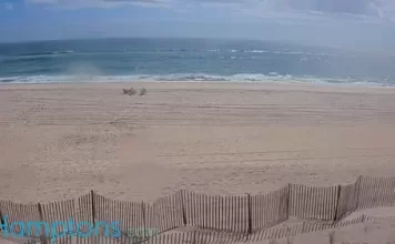 Tiana Beach Live Webcam In Hampton Bays, New York