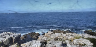 Duck Island Live Webcam - Frenchboro, Maine, Usa